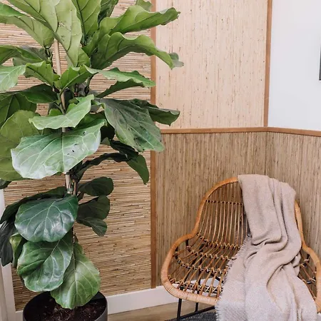 Uere - 1 Bedroom In Avenidas Novas Lissabon